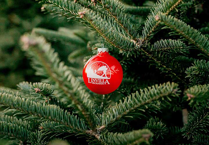 Santa candy cane decor