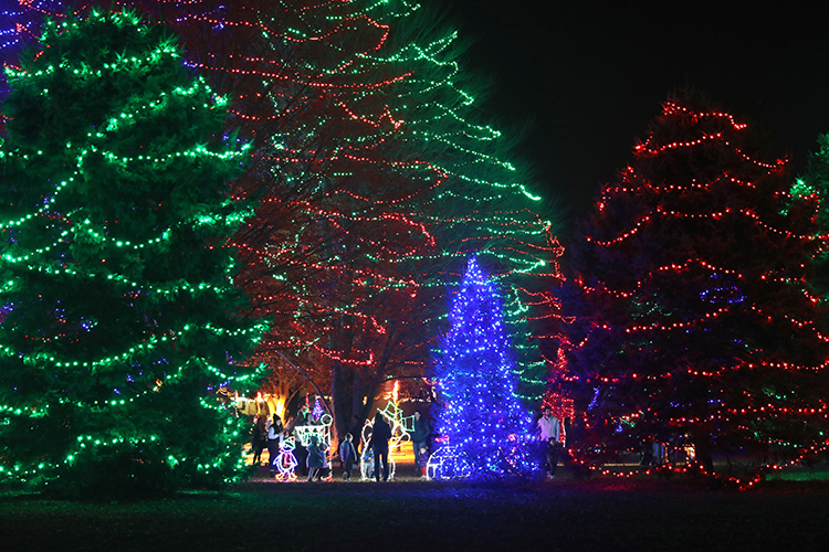Rose Tree Park Festival of Lights