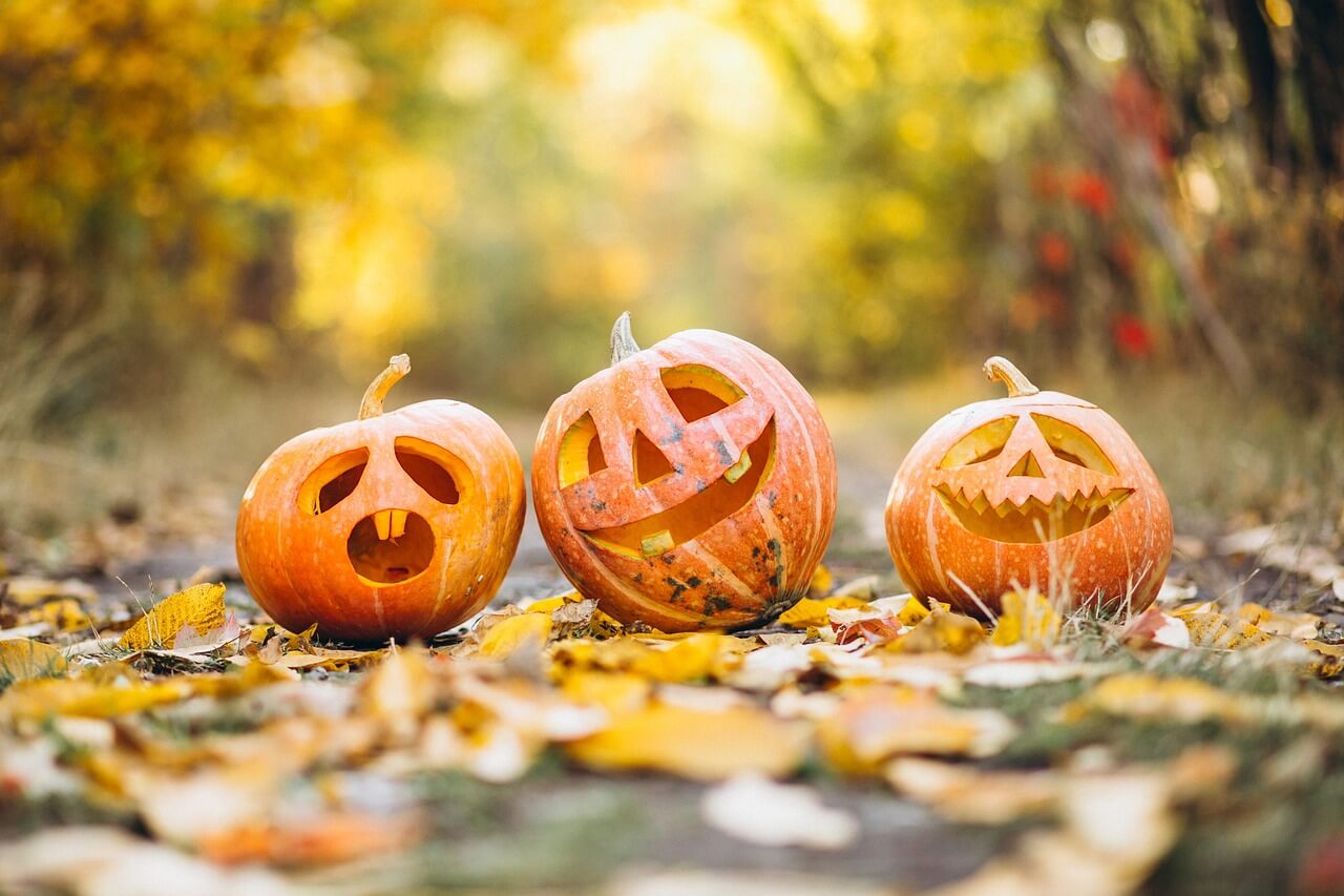 Find Spook-tacular Halloween Fun in Delaware County, PA - Visit