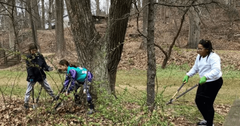 Children clearing brush and branches in a wooded park.