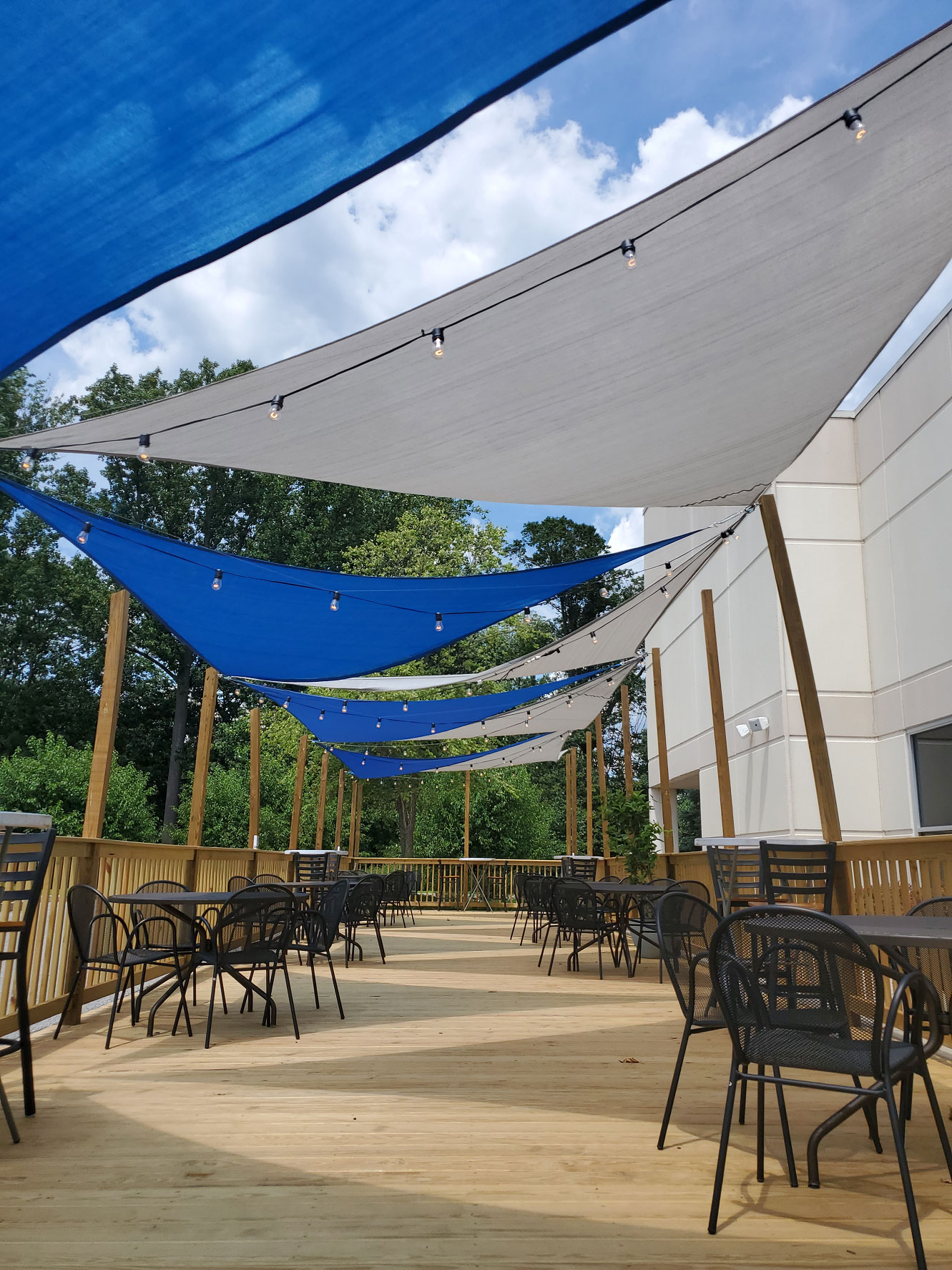 Assorted craft beers in glasses on an outdoor deck.