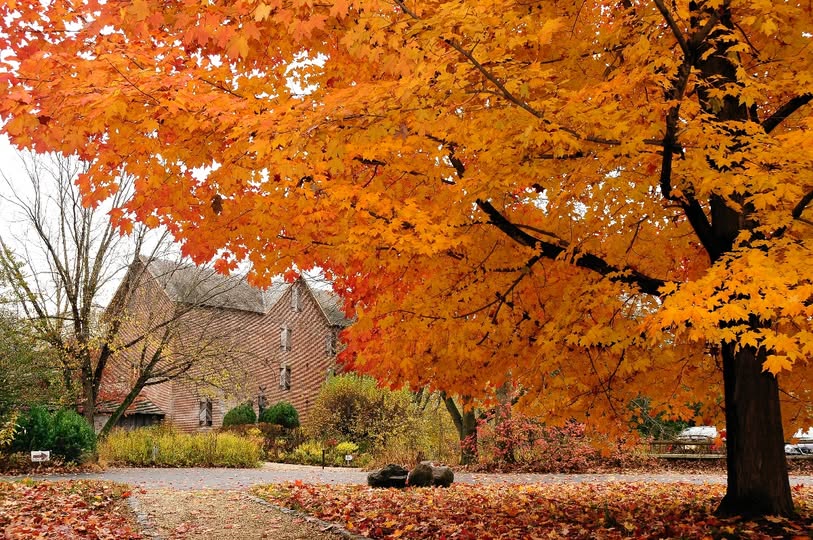 571220220_1289818763184695_3283565447221879129_n