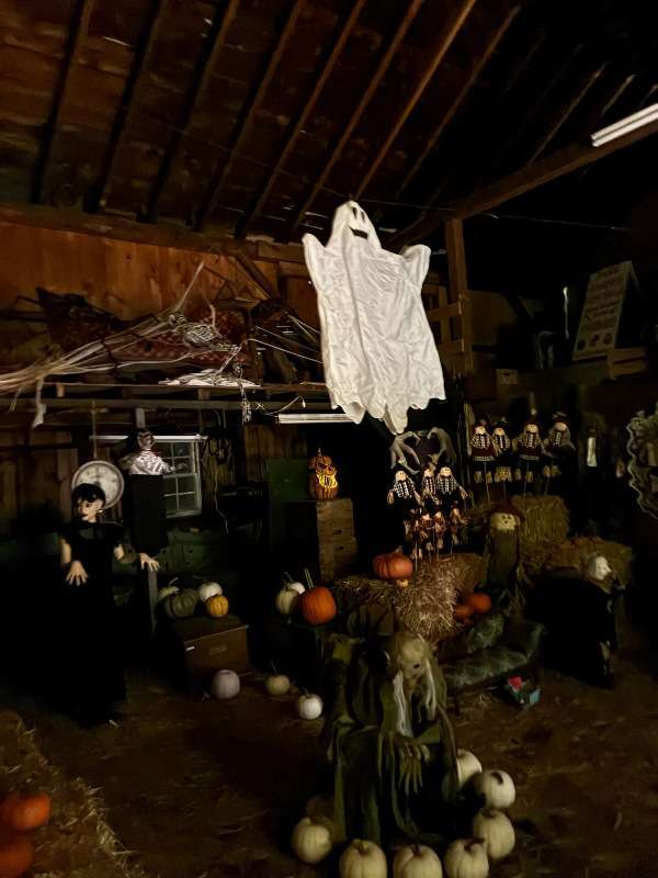 Halloween-hayride-Indian-orchards-4