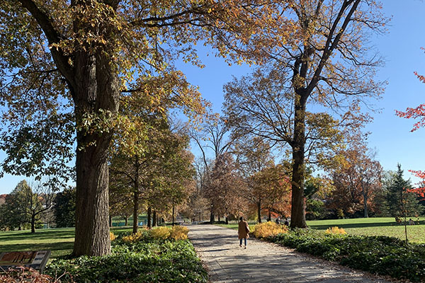 In-person-Nov-Highlights-600-by-400