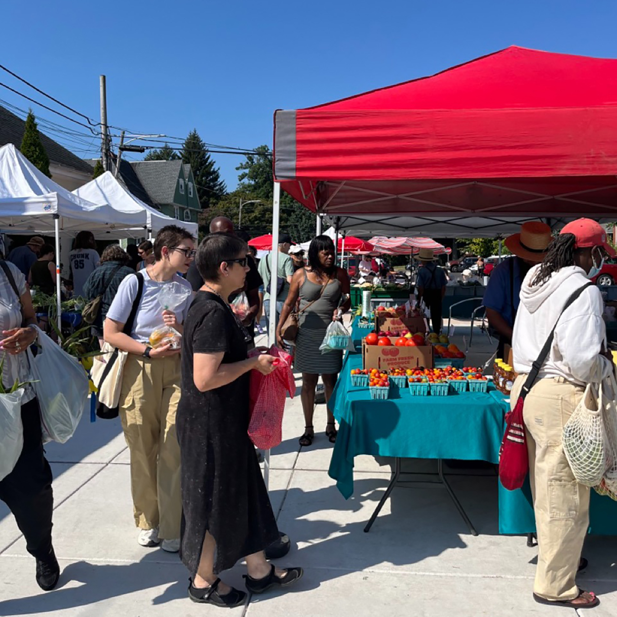 Lansdowne Farmers Market