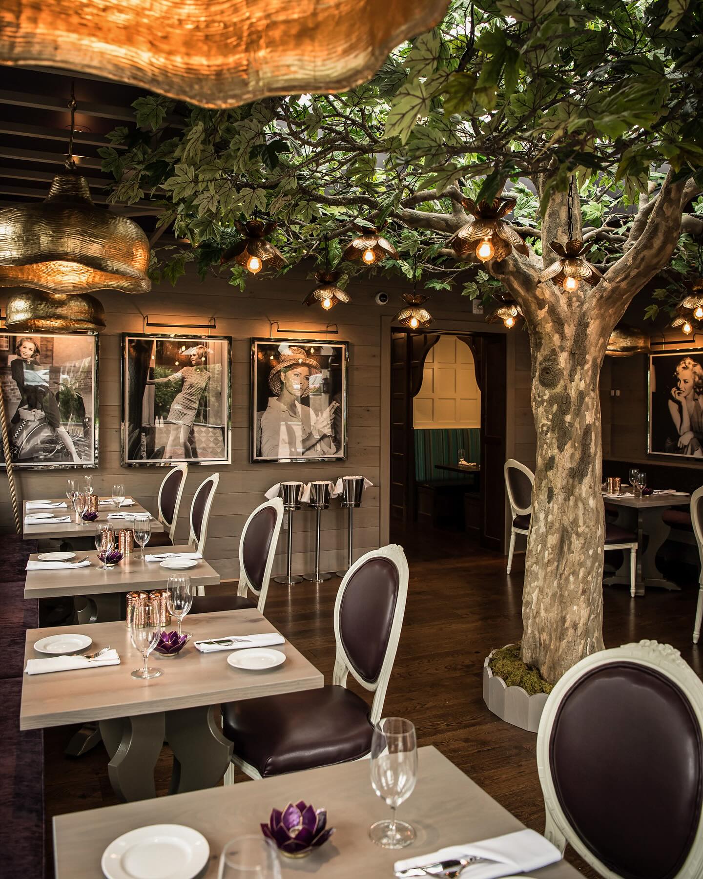 Autograph Brasserie